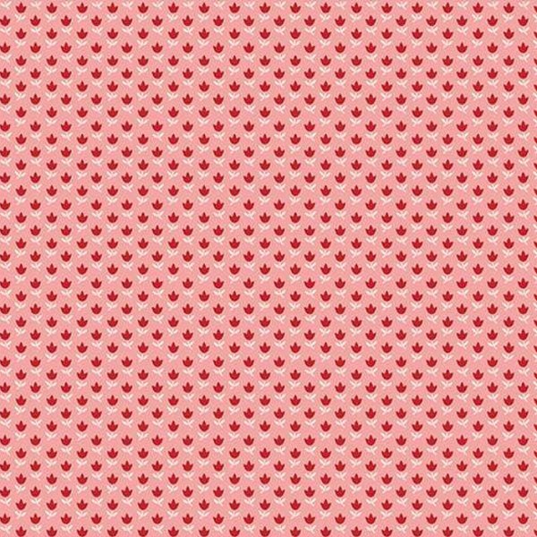 Riley Blake - C14387 Coral - Grandma's Attic Quilting