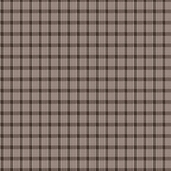 Riley Blake - C16488 Raisin - Grandma's Attic Quilting