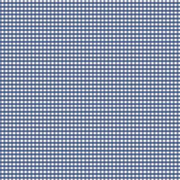 Riley Blake - C455 Denim - Grandma's Attic Quilting
