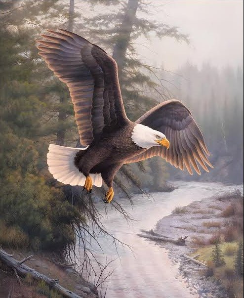Riley Blake - PD17960 Eagle Patriot - Grandma's Attic Quilting