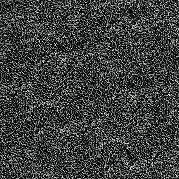 RJR Fabrics - 3221-007 Zebra