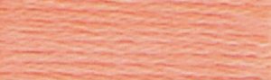 DMC Embroidery Floss- #3341 Apricot