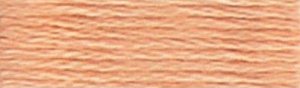 DMC Embroidery Floss - #3771 Terra Cotta, Ultra Very Light