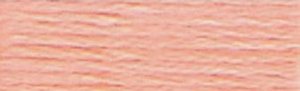 DMC Embroidery Floss - #3824 Apricot, Light