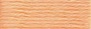DMC Embroidery Floss - #3825 Pumpkin, Pale