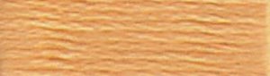 DMC Embroidery Floss - #3827 Golden Brown, Pale