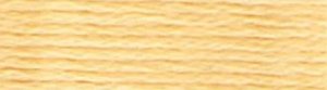 DMC Embroidery Floss - #3855 Autumn Gold, Light