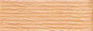 DMC Embroidery Floss - #3856 Mahogany, Ultra Very Light