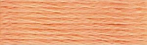 DMC Embroidery Floss - #402 Mahogany, Very Light