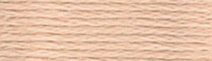 DMC Embroidery Floss - #945 Tawny