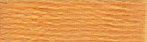 DMC Embroidery Floss - #977 Golden Brown, Light