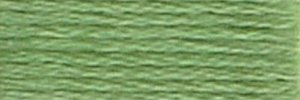 DMC Embroidery Floss - #989 Forest Green