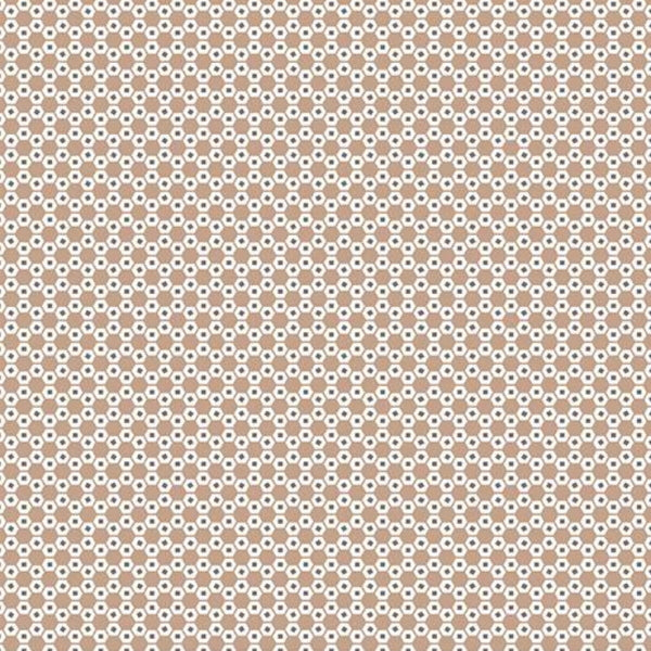 Riley Blake - C10933 Nutmeg