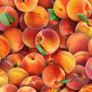 Elizabeth Studio - 578 Peaches