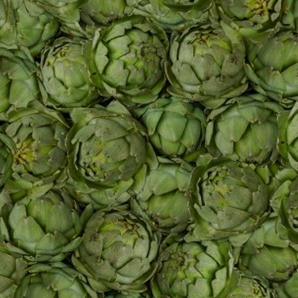 Windham - 51897D Artichokes