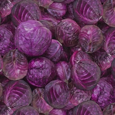 Windham - 51898D Cabbages