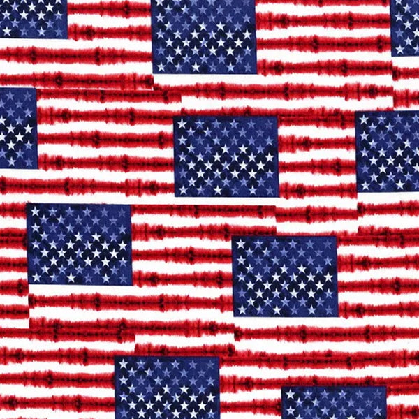 Timeless Treasures - C8789 USA Flags