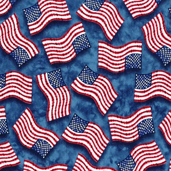 Timeless Treasures - C8791 Flags on Blue