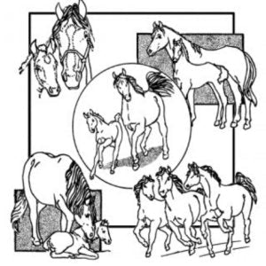 Aunt Martha 3936 - Horses - Grandma's Attic Quilting