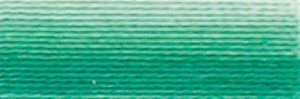 DMC Embroidery Floss - 125 Seafoam Green, Variegated - Grandma's Attic Quilting